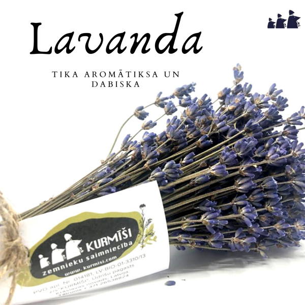 3+1 Lavandas pušķīši