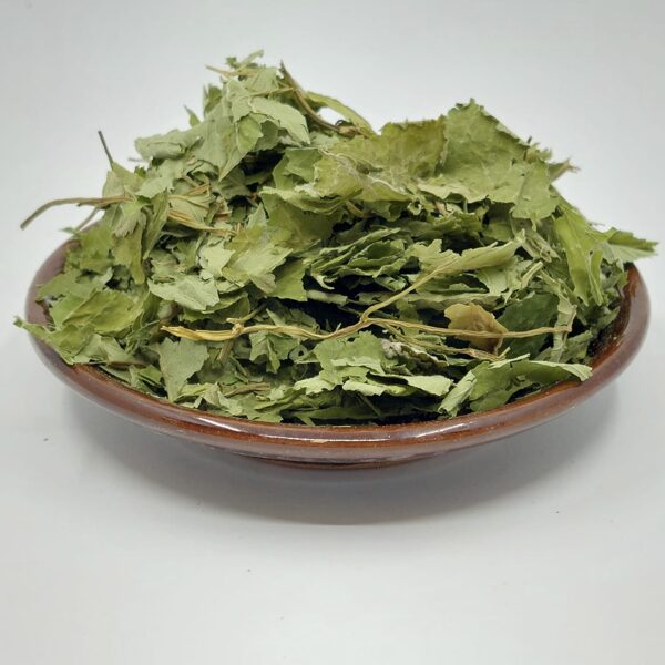 Gārsa