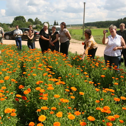 Tējas pieredzes apmaiņa tūrisms